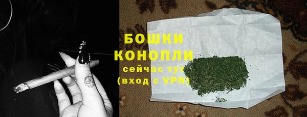 сатива Дмитриев