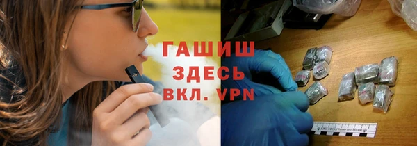 гашик Ельня