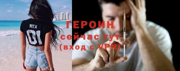 сатива Дмитриев