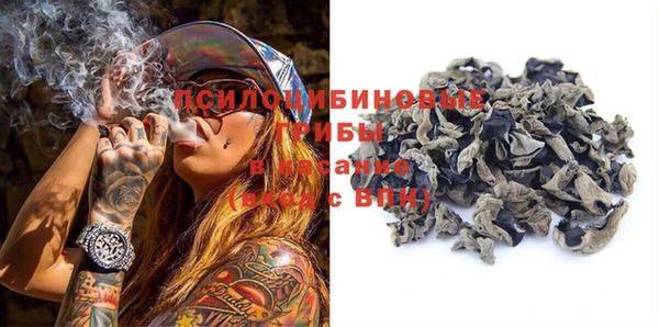 дживик Елизово