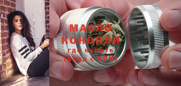 сатива Дмитриев