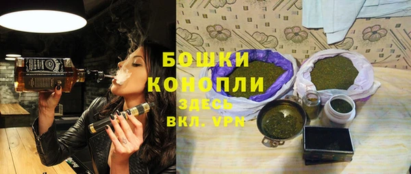 сатива Дмитриев