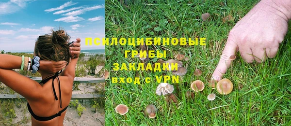 сатива Дмитриев