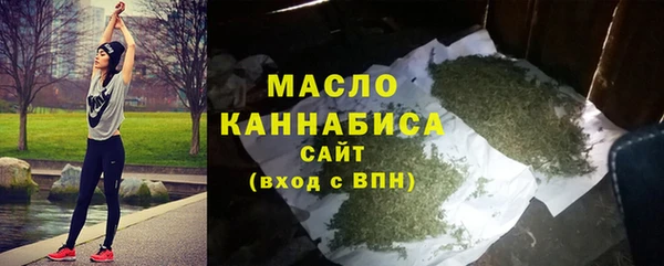 сатива Дмитриев