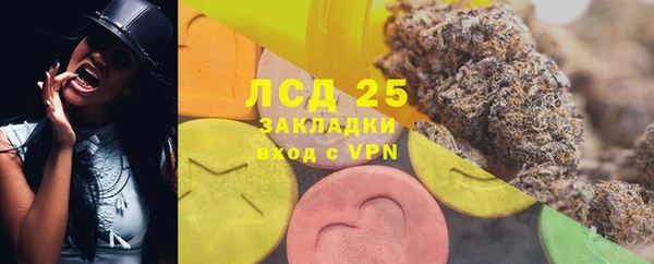 сатива Дмитриев