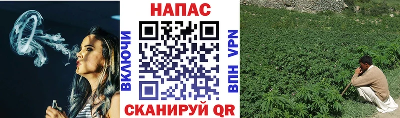 Канабис ГИДРОПОН  Купить  Короча 